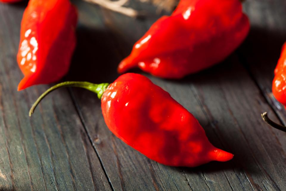  Doctors have warned of the dangers of eating a super-hot ghost-chilli