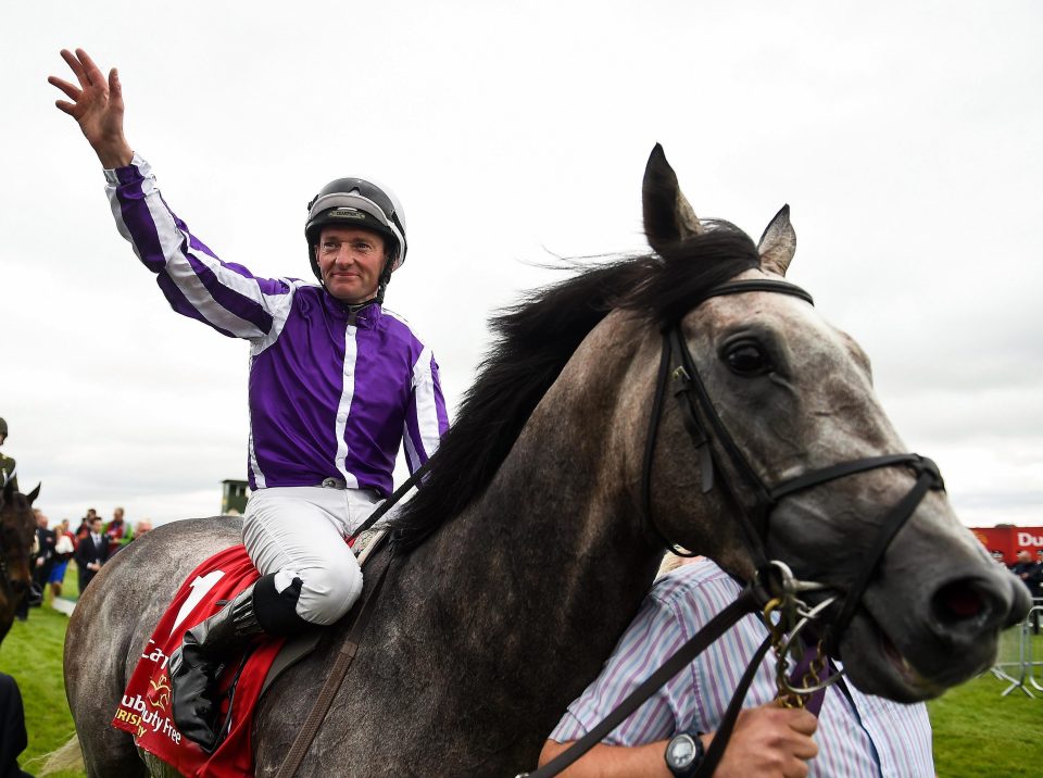  Capri after winning last year's St Leger