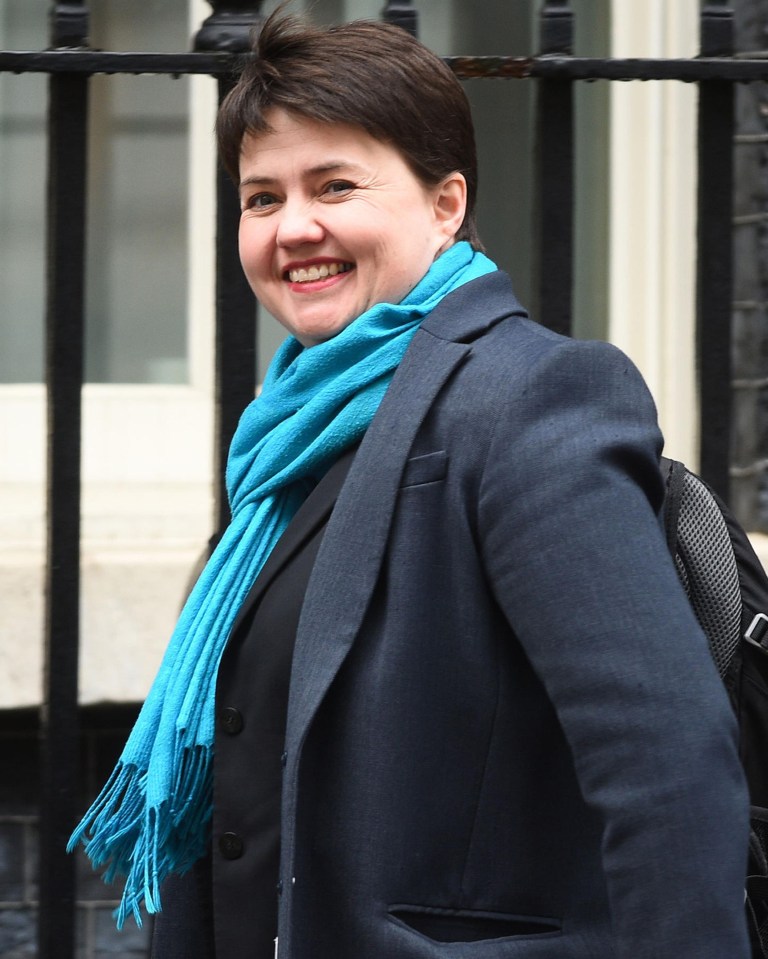 Talking of getting a top job in Westminster, Ruth said: 'On a human level, the idea that I would have a child in Edinburgh and then immediately go down to London four days a week and leave it up here is actually offensive to me'