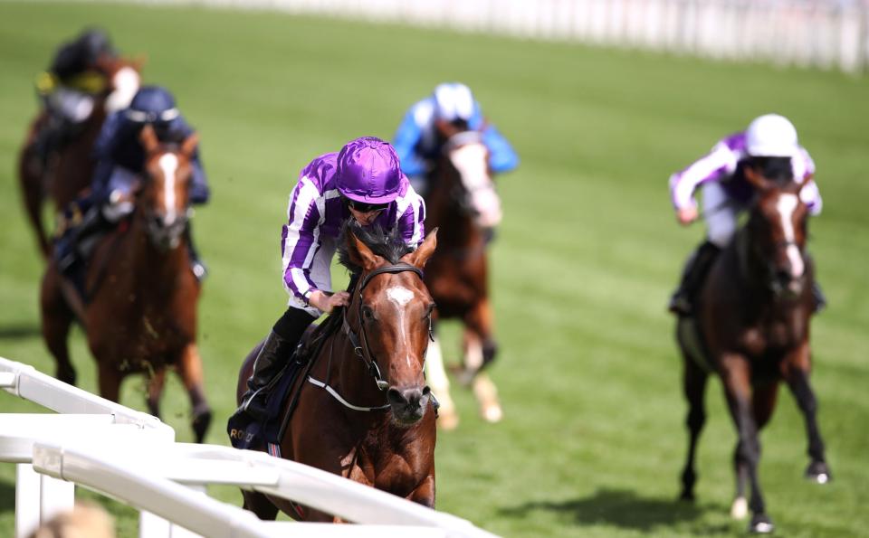  Kew Gardens is among the favourites for the St Leger