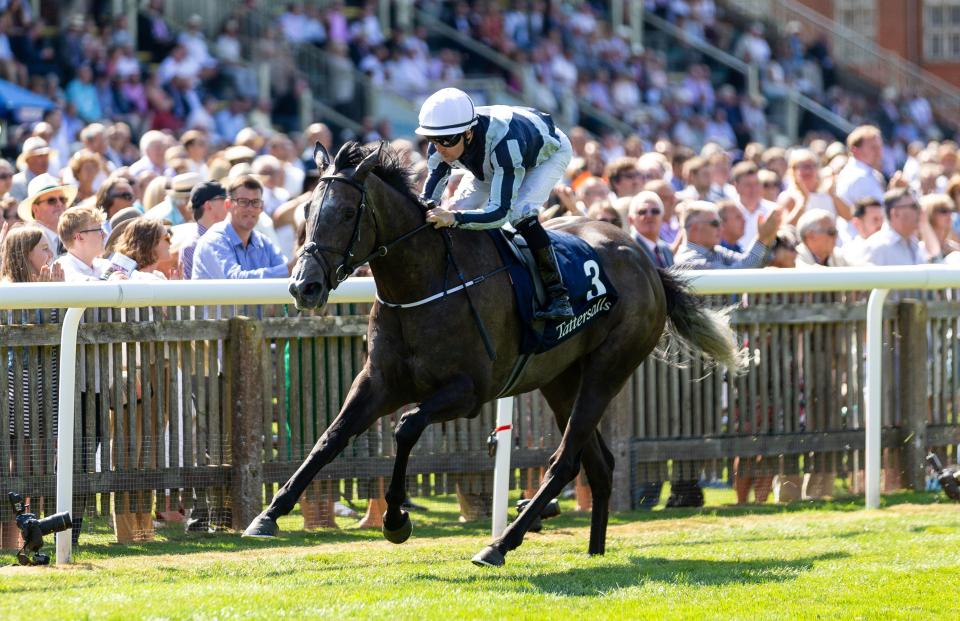  Alpha Centauri is a red-hot favourite for the Matron Stakes