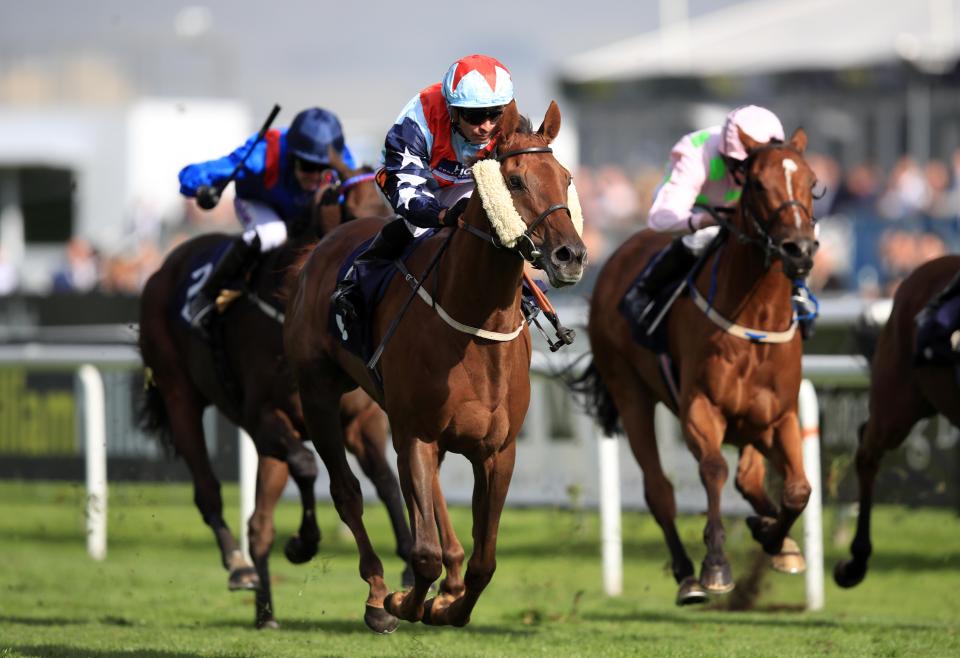  Desert Skyline took last year's race ahead of Thomas Hobson