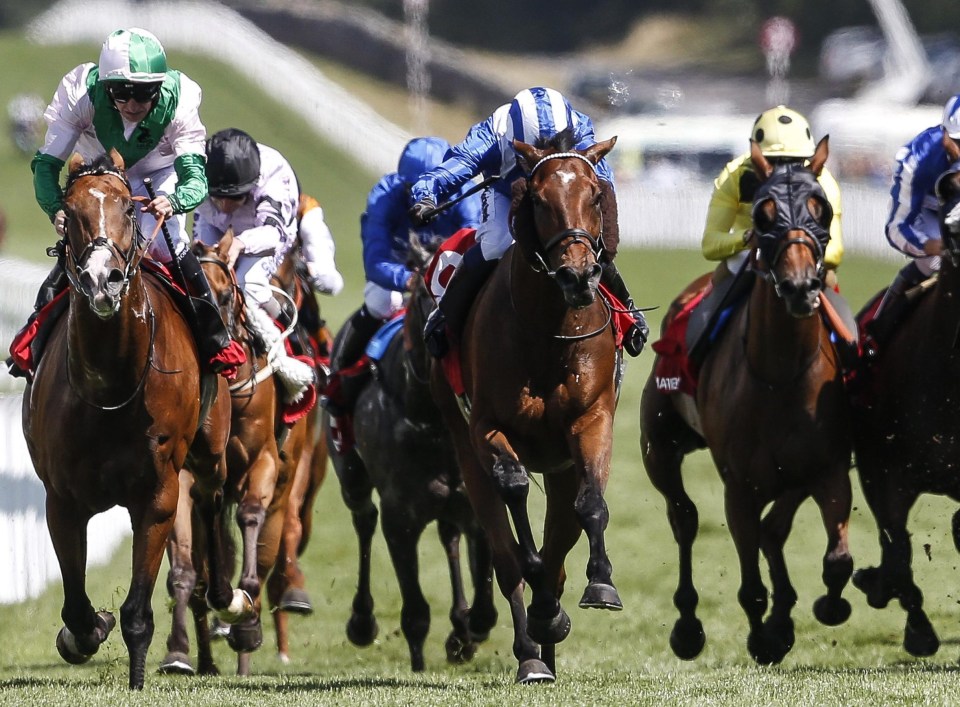 Alfarris (centre) is favourite for the Cambridgeshire