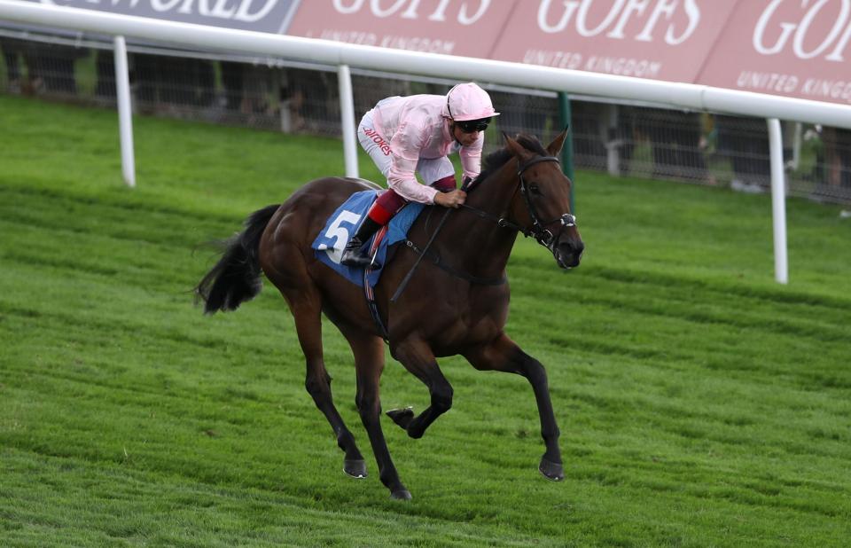  Lah Ti Dar can strike in the St Leger