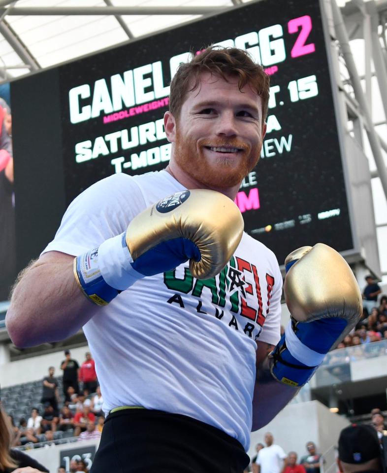 Canelo Alvarez has been tipped to pull off a shock victory in Las Vegas this weekend