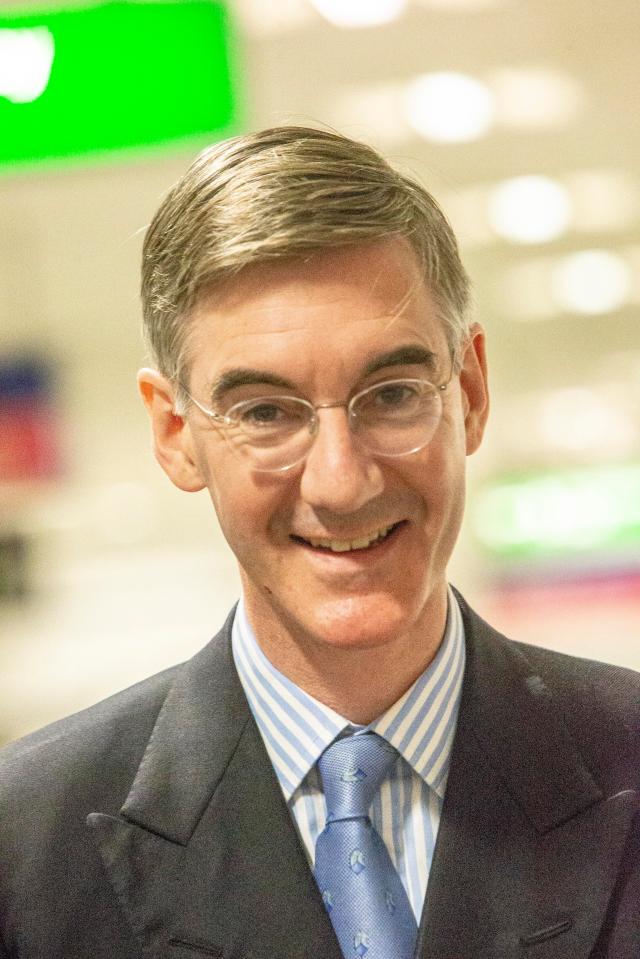  MP Jacob Reese-Mogg said that Mr Barnier agreed that PM's Chequers' plan was 'rubbish'