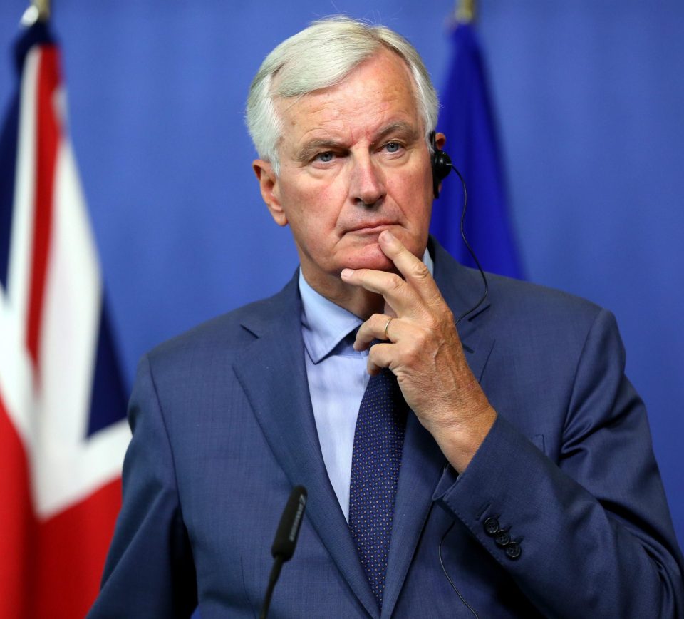  Chief EU negotiator Michel Barnier has drawn up his own plans for Brexit rivalling Mrs May's Chequers plan