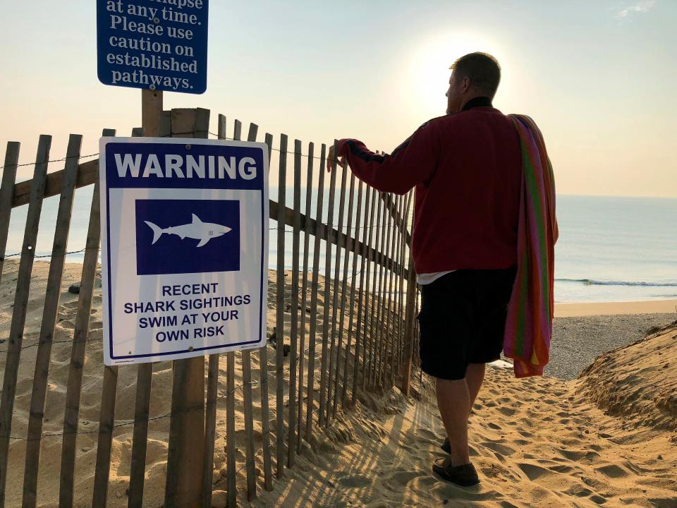  Shark sightings near the coastline where Jaws was set have more than doubled since last year