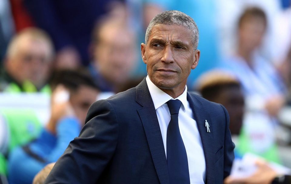  Chris Hughton wants to bring Powell to the Premier League