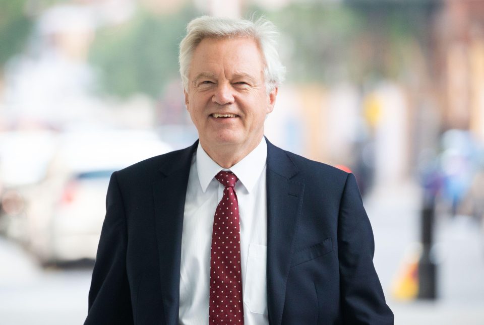  Former Brexit Secretary David Davis resigned in protest after Theresa May announced Brexit plan at Chequers