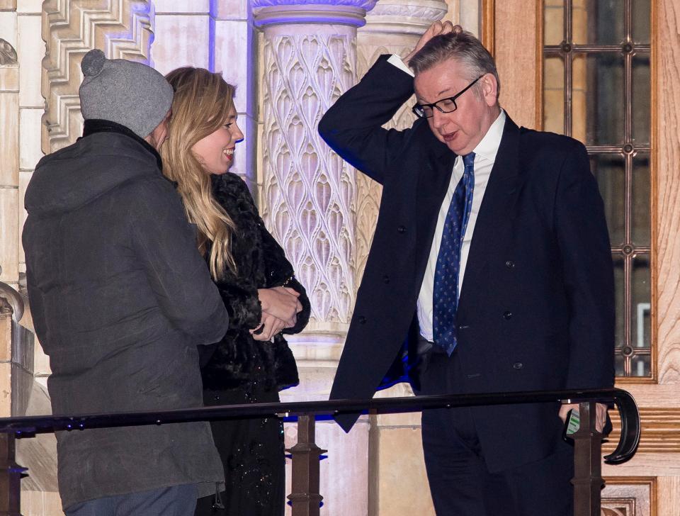  Carrie recently left the party, amid concerns she was too friendly with leading Brexiteers, including Boris and Michael Gove