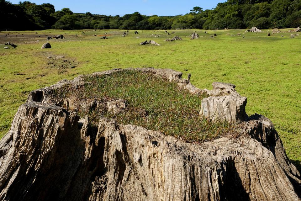  The community was compulsorily purchased and demolished to make way for the reservoir