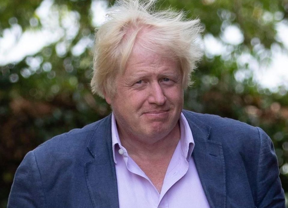  An ally of Boris said the timing of the boundaries plan 'looks a bit convenient'