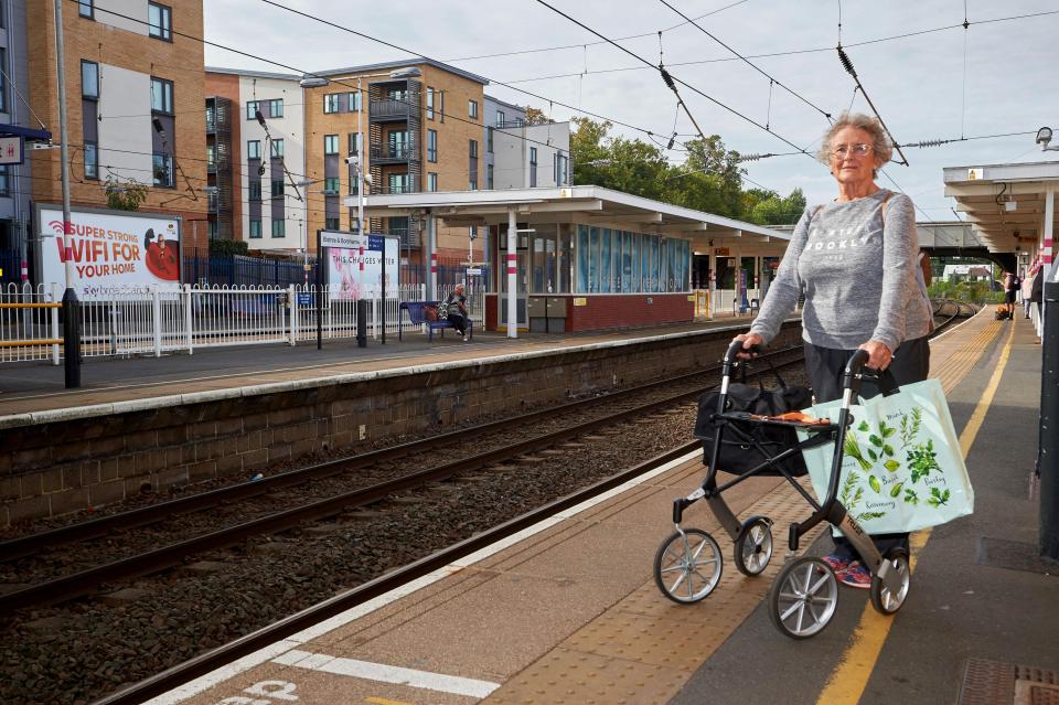  Rose Barry, 75, was taking Jonty on a train from Hertfordshire to London to see her daughter