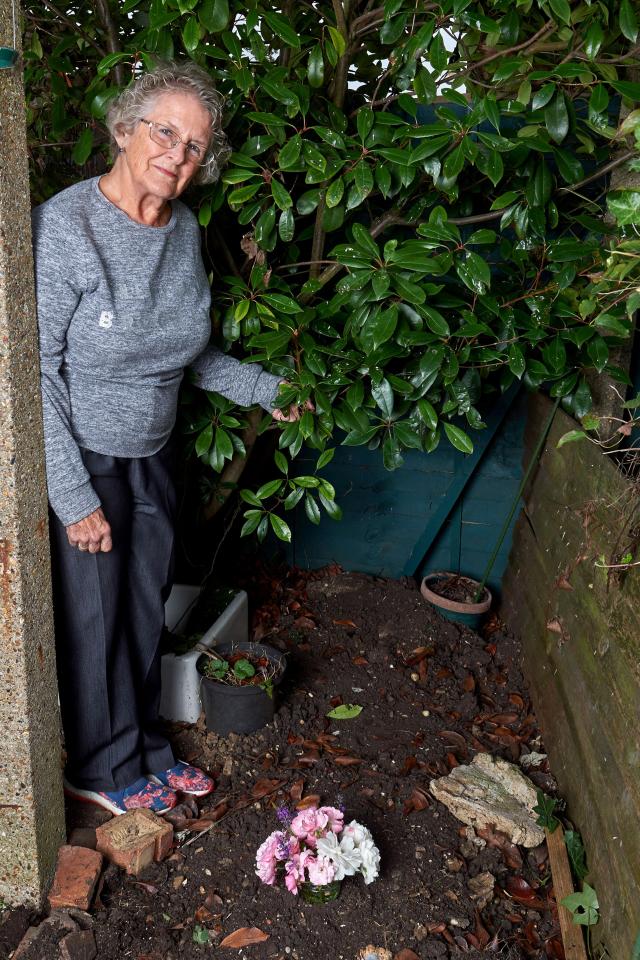  The spot in Rose's garden where she laid the poor pooch to rest