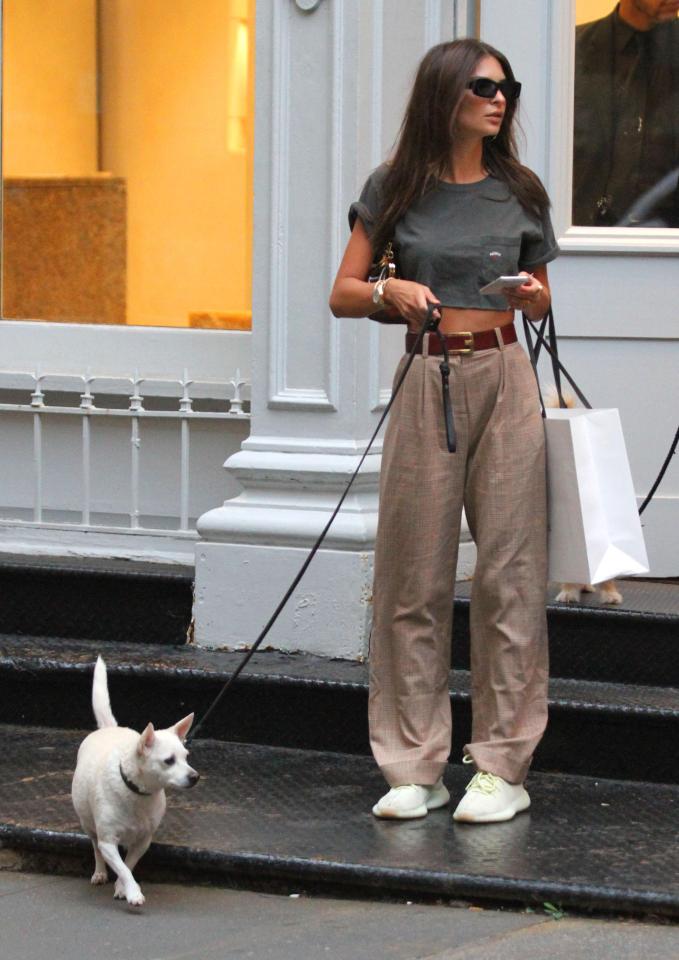  Emily was recently spotted walking her dog around Manhattan