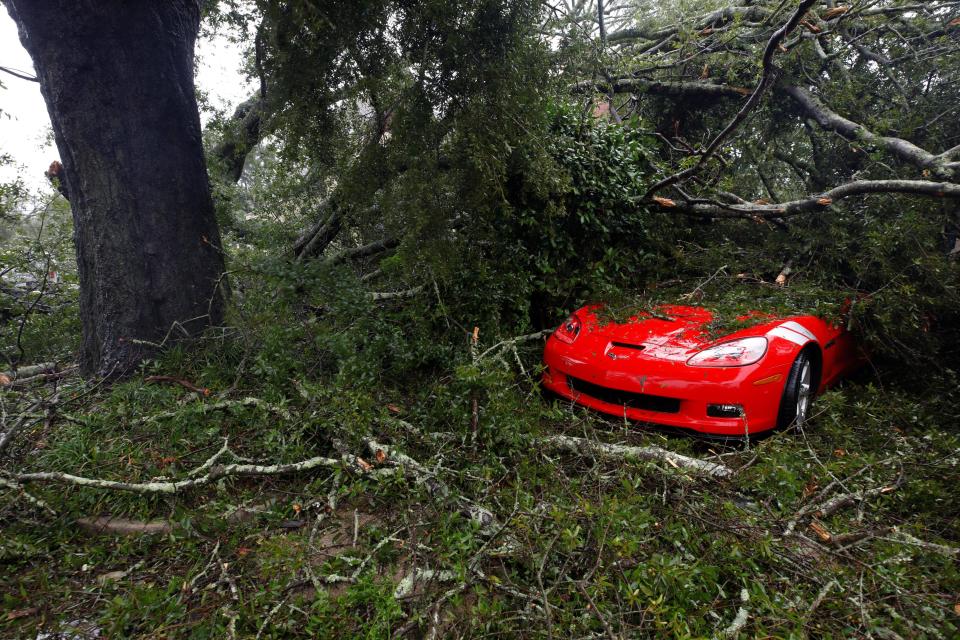  Leaves, branches and other debris surround and cover a sports car after Hurricane Florence hit Wilmington, North Carolina