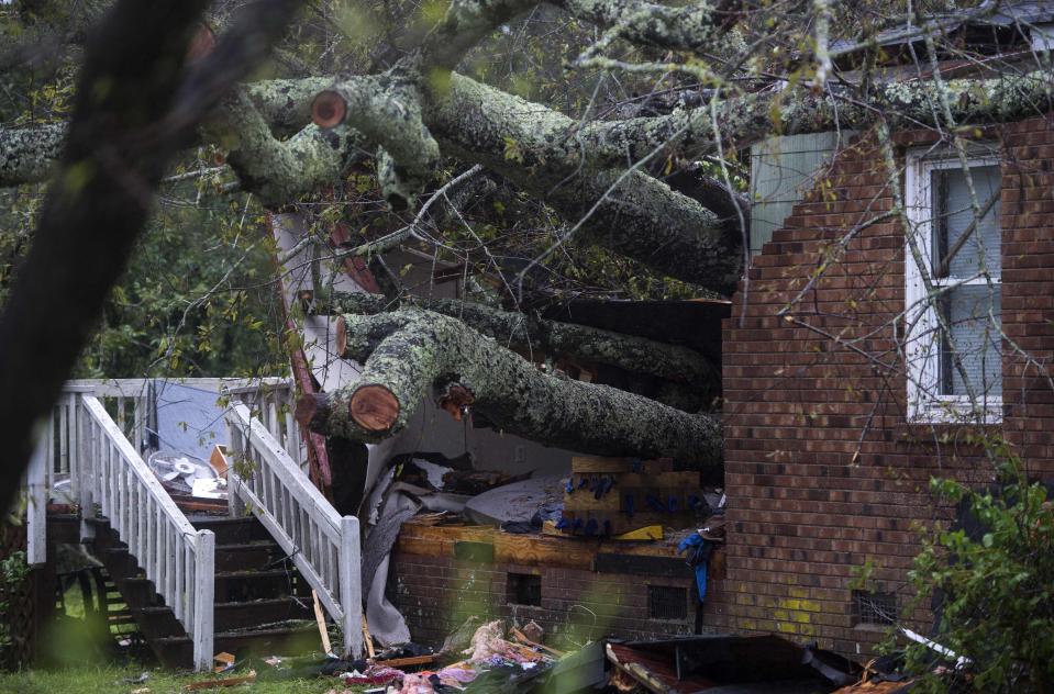  A tree that fell on a house, killing two people - reportedly named as Lesha Murphy-Johnson and her baby Adam, in Wilmington, North Carolina, on Friday