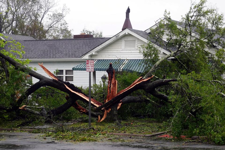  A downed tree rests on a house after the deadly swarm surged through the state