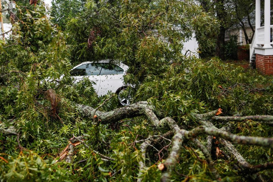  A tree covers a car which was damaged during Hurricane Florence