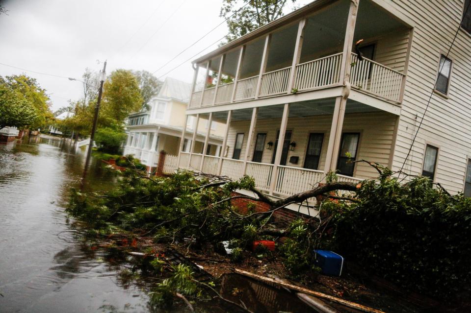  A downed tree and water from the Neuse river are seen on a flooded street in New Bern, NC