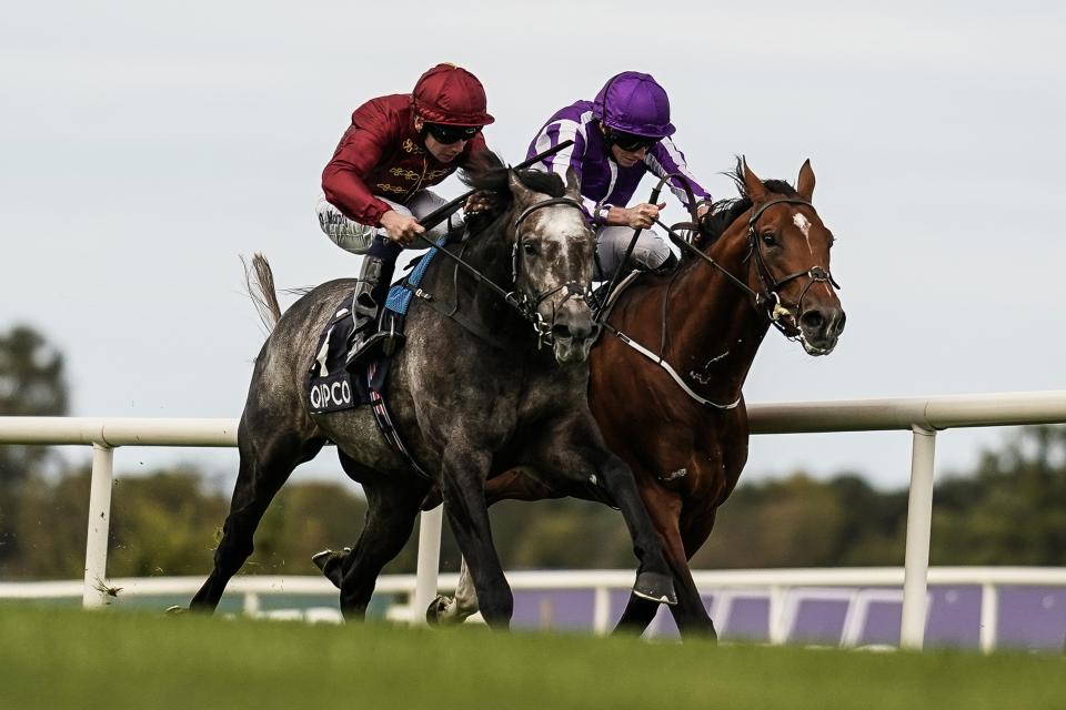  Roaring Lion and Saxon Warrior produced another finish to remember