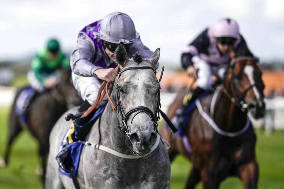  Havana Grey was one of the winners for the punter