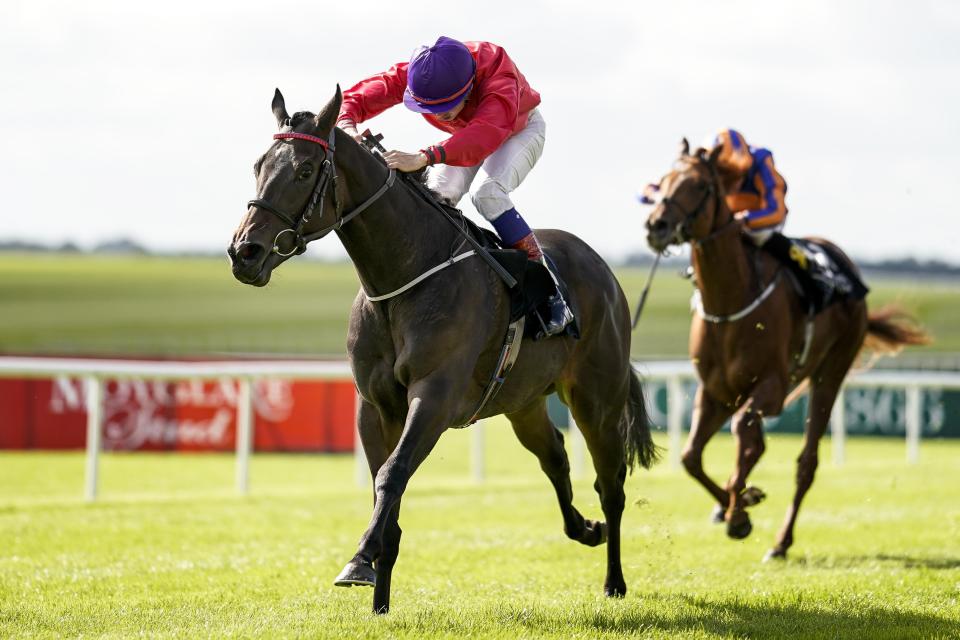  Skitter Scatter was a big winner for connections in the Moyglare