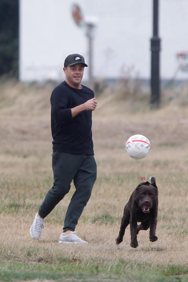  Ant looked in great spirits as he took Hurley for a walk near his home in West London