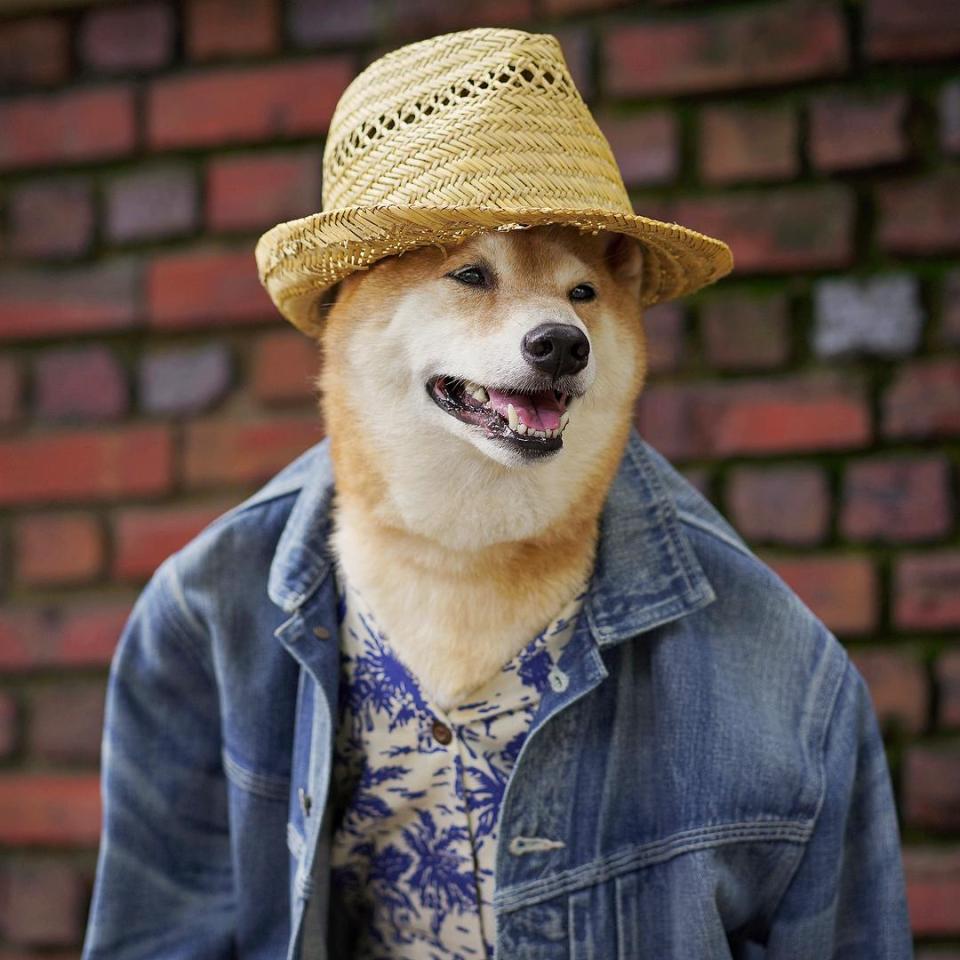  Yappy days - straw hat and denim