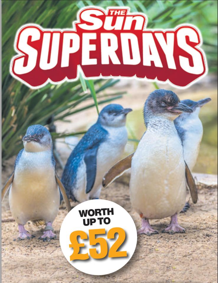  Come face to beak with the world’s smallest, fluffiest, cutest penguins at SEA LIFE Weymouth - for FREE