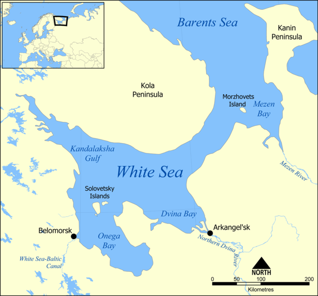  The fossil was found on White Sea cliffs, in remote northwestern Russia