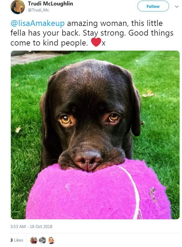  Lisa also liked this post about her dog having her back