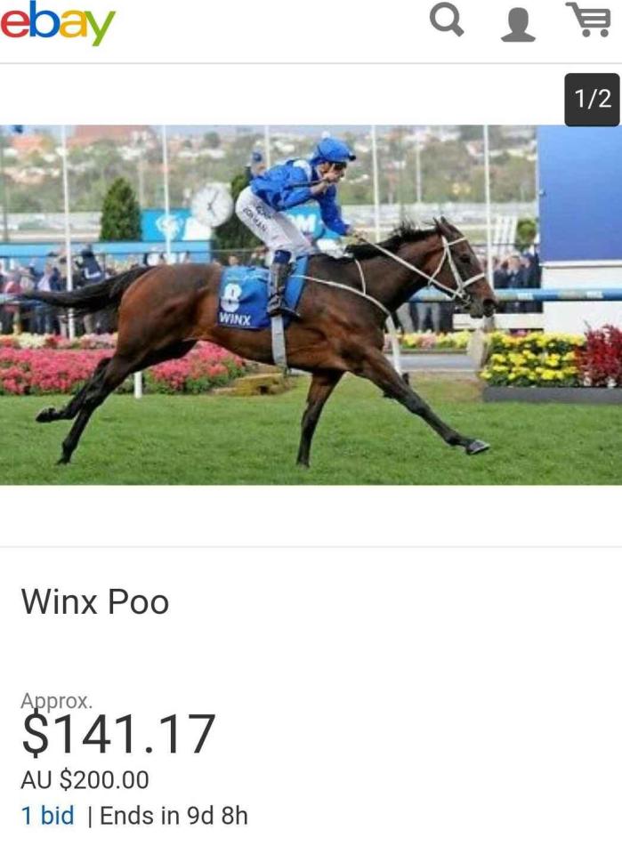  Poo collected after the win at Flemington has attracted a bid of £110