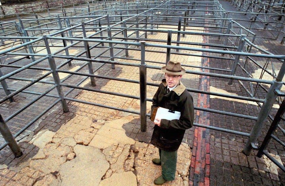  Empty pens at a cattle market in 2013 after a BSE scare drove down the market