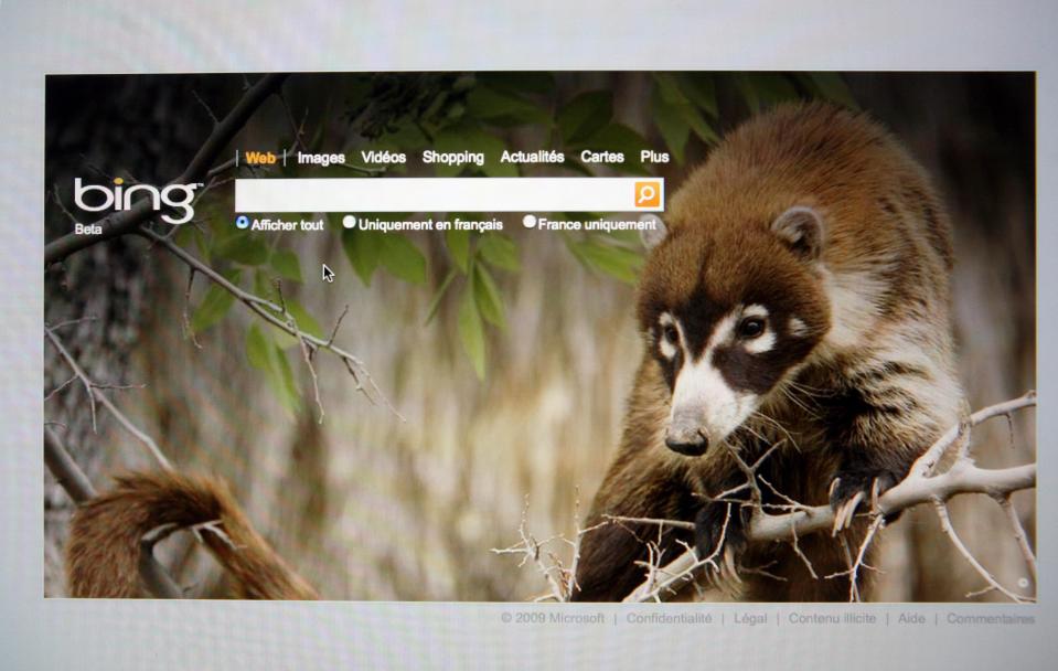  An early beta version of Bing