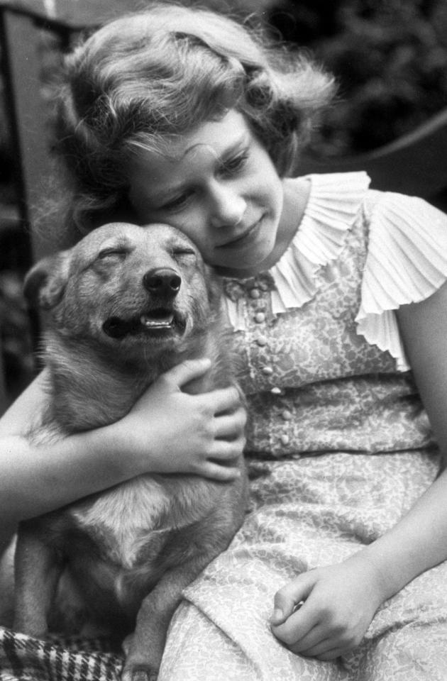  She was introduced to the joys of the Welsh breed at the age of seven by her father, King George VI, who had one called Dookie