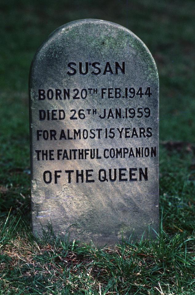  Susan was the Queen's first corgi that was gift for her 18th birthday