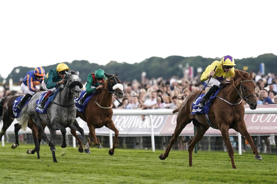  Sea Of Class won two Group 1's during the summer and was an unlucky loser in the Arc