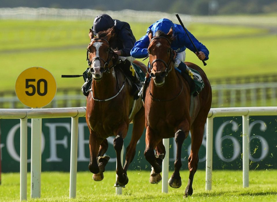  Anthony Van Dyck was beaten by Quorto (right) last time out