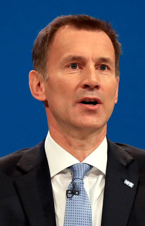  Foreign Secretary Jeremy Hunt said the hacks posed 'no legitimate national security interest'