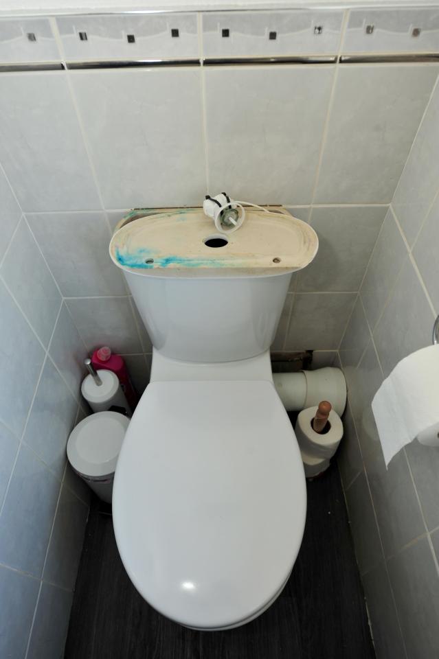  She didn't realise that the toilet flush is broken until after she moved in