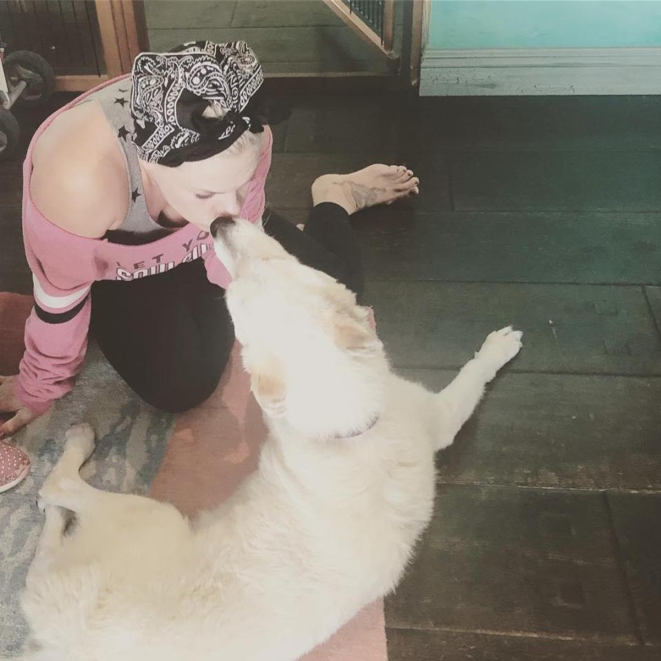  Pink revealed that her beloved pooch Nanni has passed away