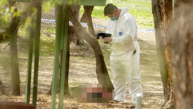  The body of a woman found under trees at Buffalo Creek Reserve is photographed by a forensic officer at a playground at Hunters Hill, Sydney