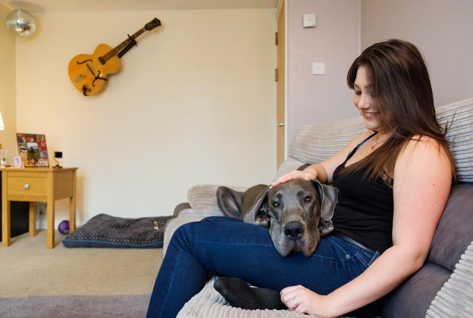  Ashley uses a camera to keep an eye on her Great Dane while she's away