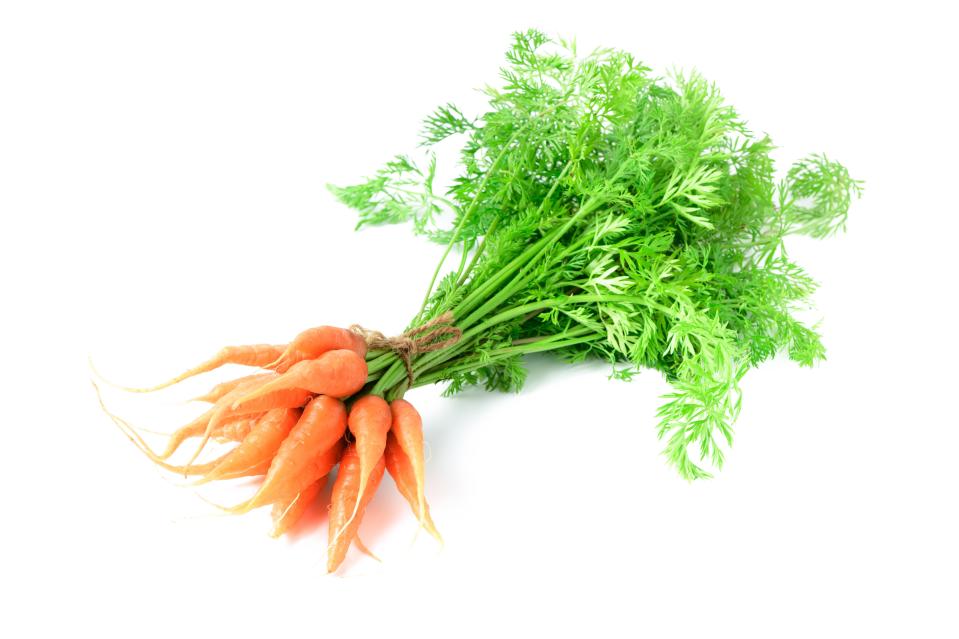  The carrot is the second most loved vegetable in Britian after the potato