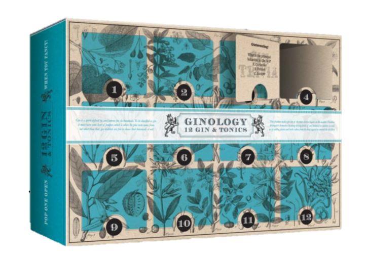  Aldi's 12 Gins of Christmas advent calendar is £34.99