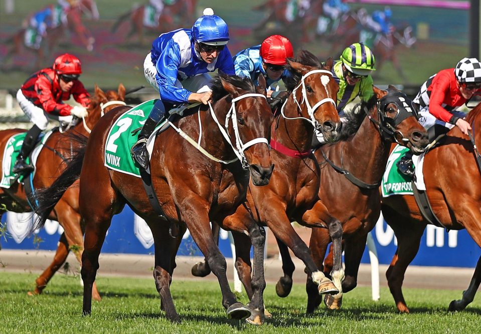  Winx won the Turnbull Stakes at Flemington this month to notch a 28th consecutive win