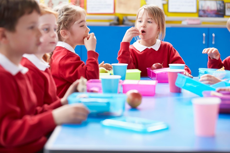 Parents have claimed ‘lunchbox shaming’ is widespread