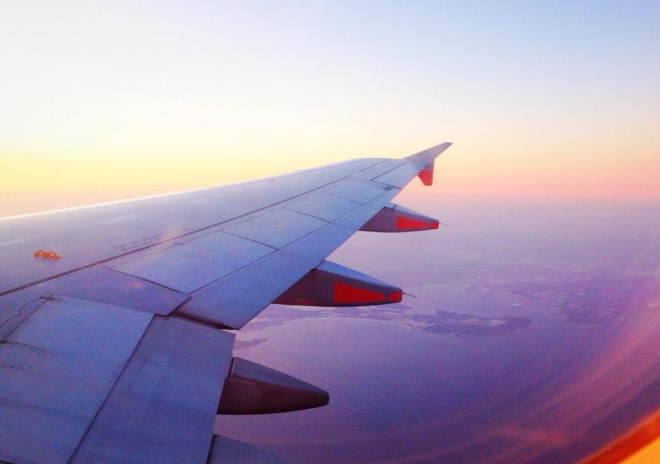  In the event of landing on water, these yellow plastic hooks on the wing are rudimentary handholds